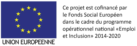 Logo FSE programme Emploi et Inclusion